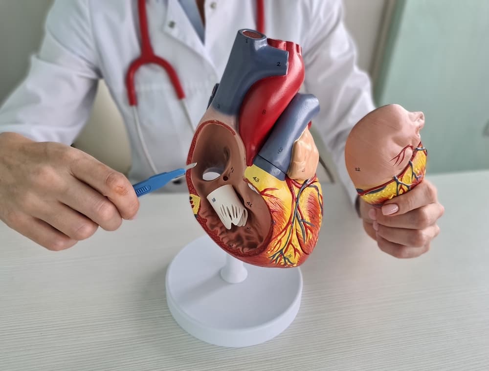 Medical background